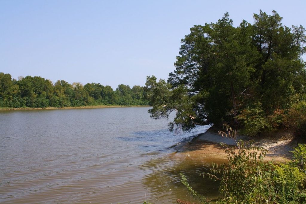 Tombigbee River 